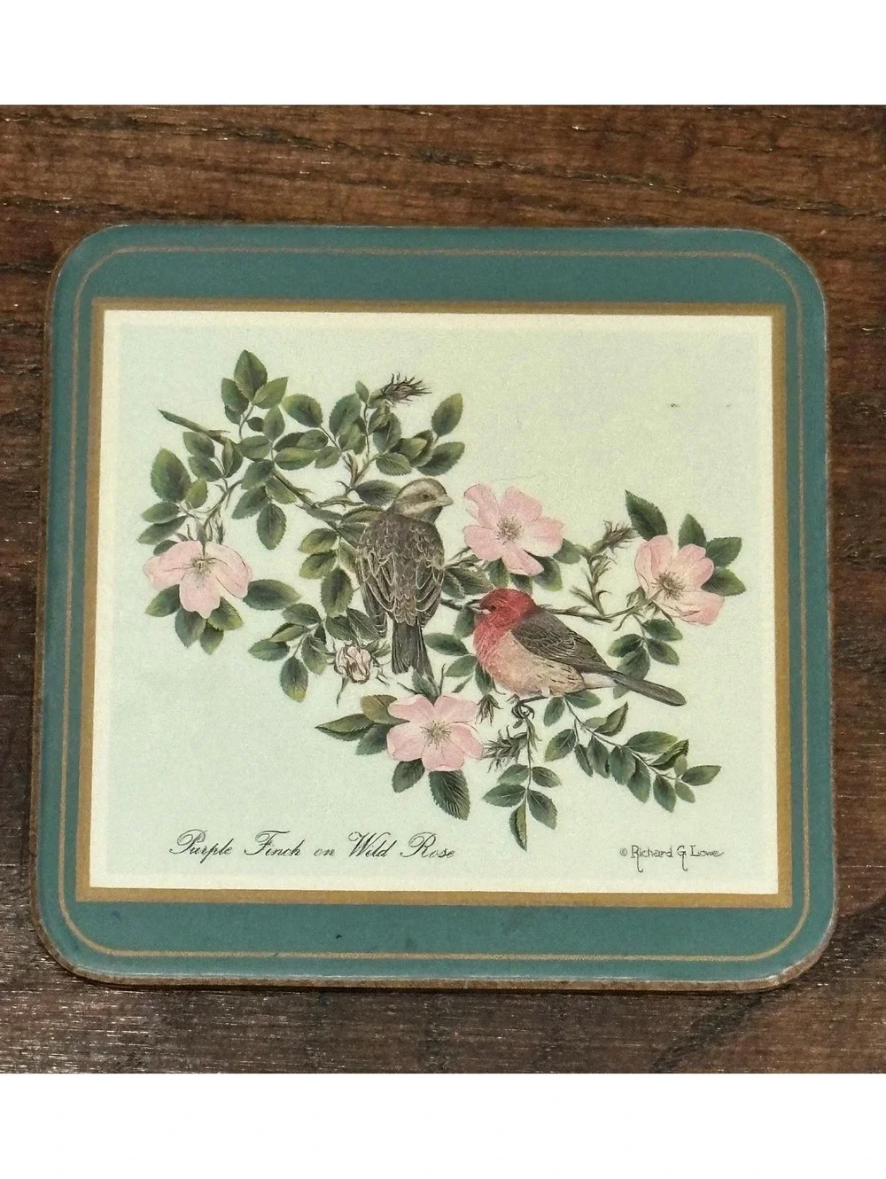 Vintage Pimpernel North American Song Birds Cork Back Coaster Set 5pc